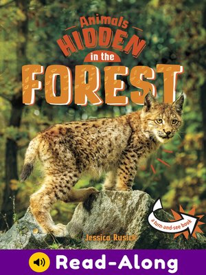 cover image of Animals Hidden in the Forest